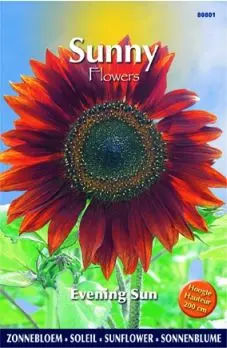 Sunny flowers evening sun 4g - afbeelding 2