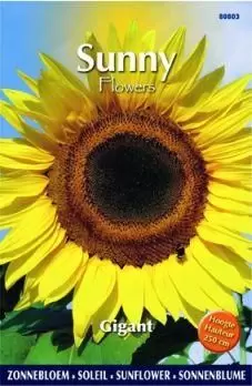 Sunny flowers gigant 5g - afbeelding 2