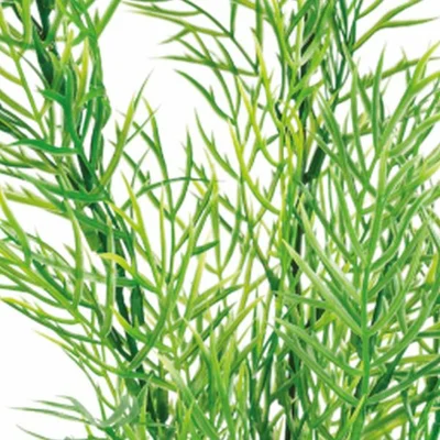 SUPERFISH Art plant 40cm ceratopteris - afbeelding 2