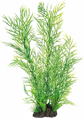 SUPERFISH Art plant 40cm ceratopteris - afbeelding 1