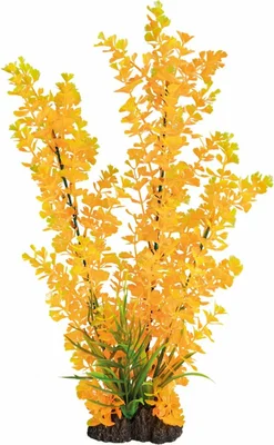 SUPERFISH Art plant 40cm ludwigia orange - afbeelding 1