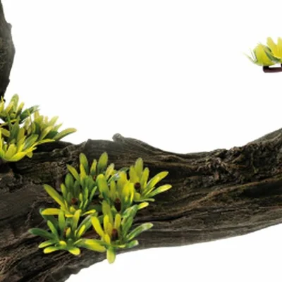 SUPERFISH Deco bonsai l - afbeelding 2
