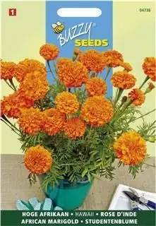 Tagetes er. hawaii fl.pl. 1g - afbeelding 1