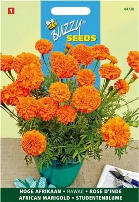 Tagetes er. hawaii fl.pl. 1g - afbeelding 3