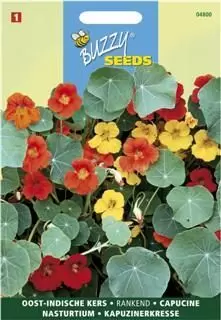 Tropaeolum majus enkelbloemig mx 3g - afbeelding 1