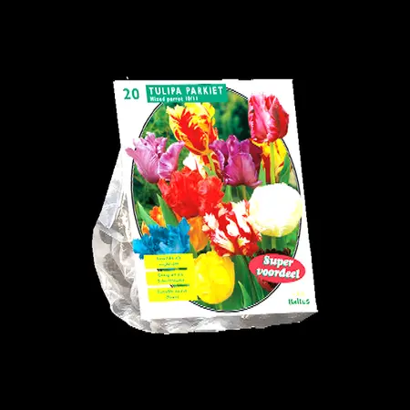Tulipa parkiet mix per 20