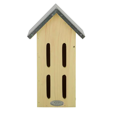 Vlinderkast l15b19h33cm - afbeelding 2