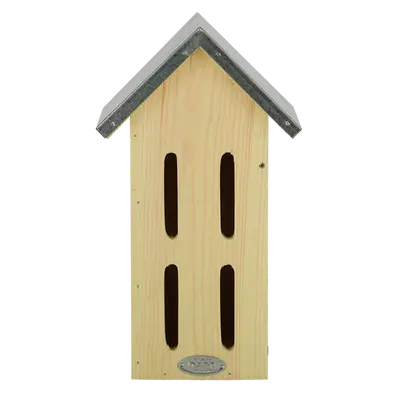 Vlinderkast l15b19h33cm - afbeelding 2