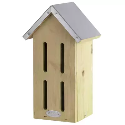 Vlinderkast l15b19h33cm - afbeelding 1
