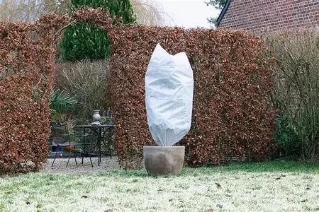 Winterafdekhoes koord H1.50x0.75m wit - 2 stuks