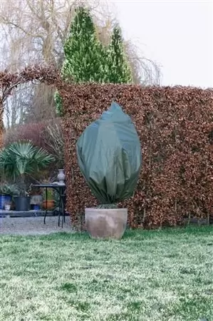 Winterafdekhoes koord H1.50x1m groen