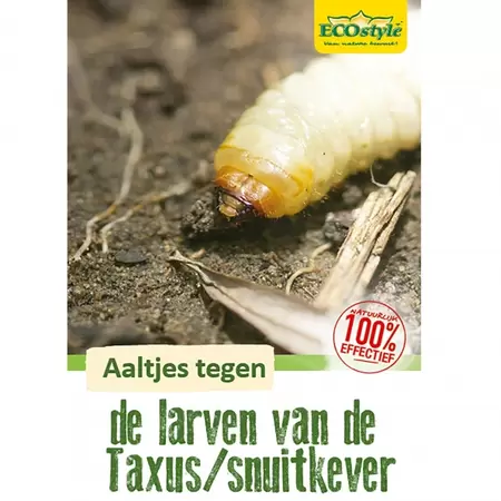z Aaltjes tegen larven taxus- en snuitkever H 25 mln/50 m² - afbeelding 2
