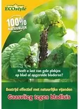 z ECOstyle Gaasvlieg tegen bladluis - afbeelding 1