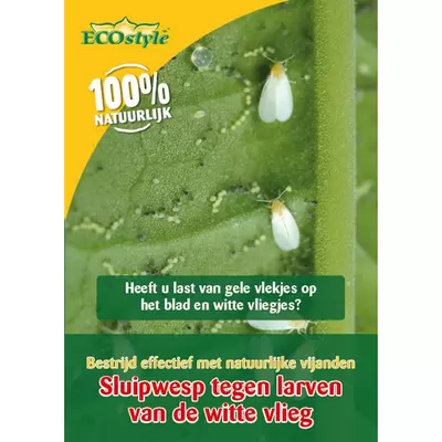 z ECOstyle Sluipwesp tegen larven witte vlieg - afbeelding 1