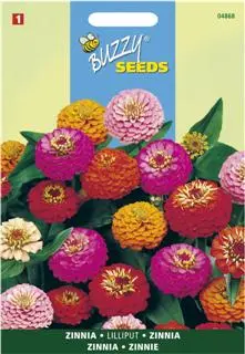 Zinnia elegans liliput pompon 1.5g - afbeelding 2
